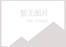 鹤岗兴山雪青材料有限公司